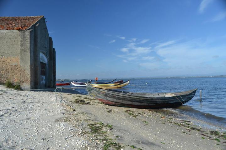 Old boat on a shore